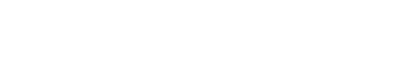 Disconnect: The Wedding Planner
